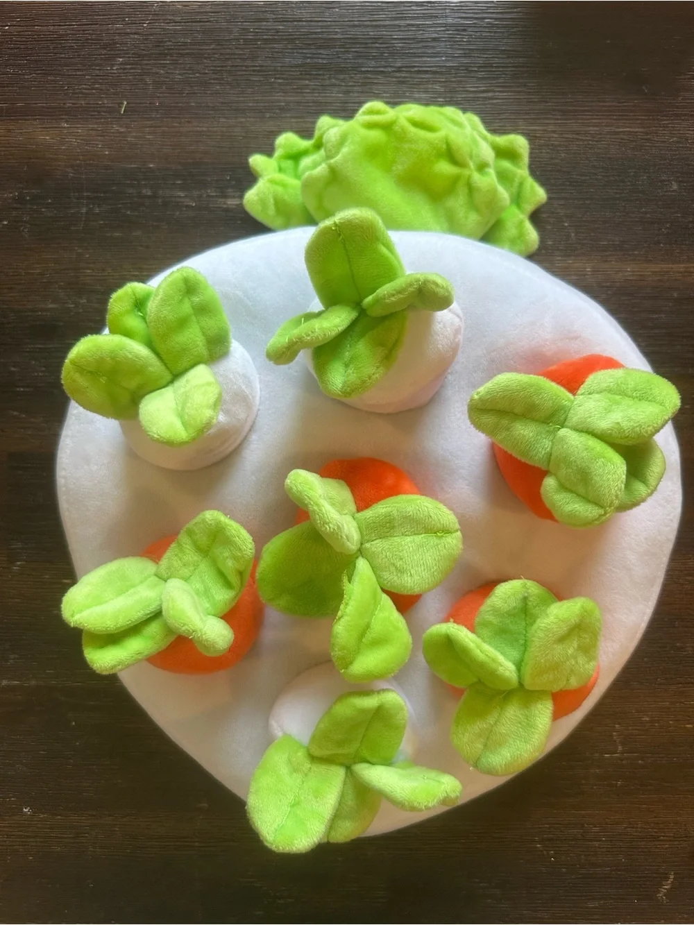 Plush Carrot Sorting Game for Baby